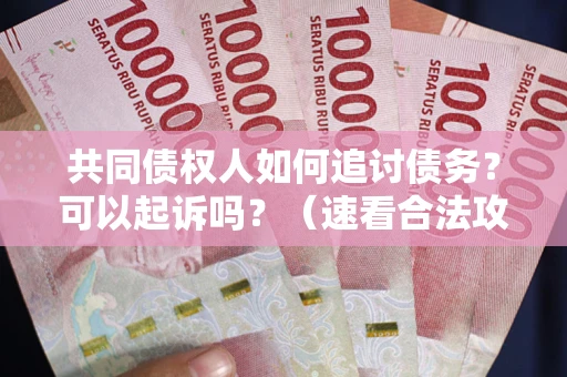 济南共同债权人如何追讨债务？可以起诉吗？（速看合法攻略）